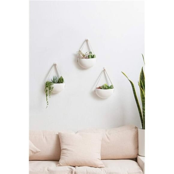 Wall Planter for Indoor Plants Ceramic Hanging FlowerPots for Succulent AirPlant - Picture 4 of 8